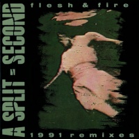 Flesh & Fire - 1991 Remixes