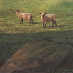 The Lost Sheep