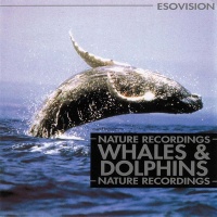 Whales & Dolphins (EV 68)