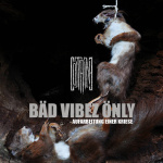 Bäd Vibez Önly - Aufarbeitung Einer Krise