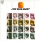 Jeff Beck Group