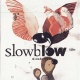 Slowblow