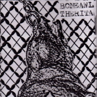 Bone Awl / The Rita