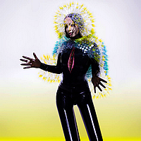 Vulnicura