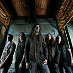 Shadows Fall