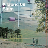 Fabric 09