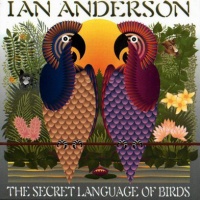 The Secret Language Of Birds