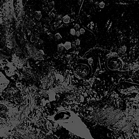 Primitive Man / Unearthly Trance