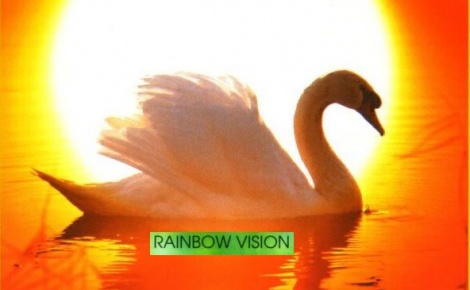 Rainbow Vision