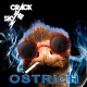 Ostrich