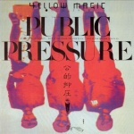 Public Pressure 