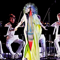 Vulnicura Strings