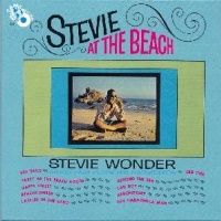 Stevie at the Beach