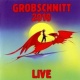 Grobschnitt 2010 Live