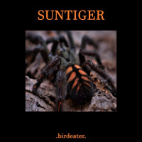 Suntiger