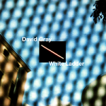 White Ladder