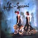 Afri-Spaans