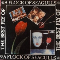 The Best Fly Of: A Flock Of Seagulls