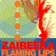 Zaireeka