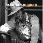 The Essential Taj Mahal