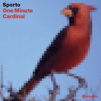 One Minute Cardinal