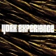 Experience