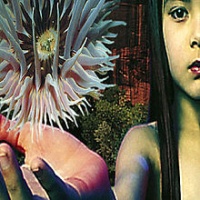 Lifeforms