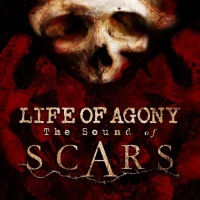 The Sound of Scars