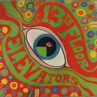 The Psychedelic Sounds Of The 13th Floor Elevators