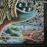 Switched On Rock (Electric Samurai)