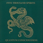 Quantum Consciousness