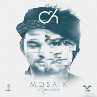 Mosaik: Remixed