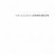 The Acoustic Adrian Belew