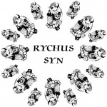 Rychus Syn