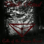 Calls of the Arcane Forest