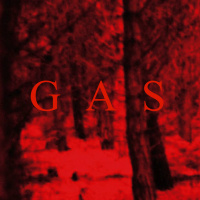 Gas