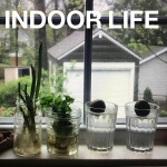 Indoor Life