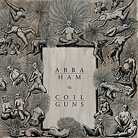 Abraham / Coilguns