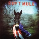 Gov't Mule