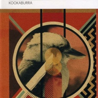 Kookaburra 