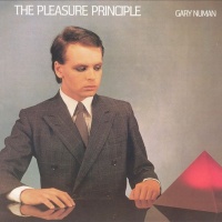 The Pleasure Principle 