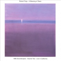  A Blessing of Tears: 1995 Soundscapes, Vol. 2