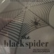 The Black Spider