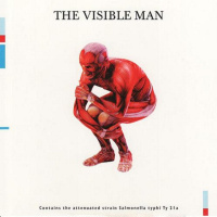 The Visible Man