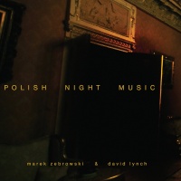 Polish Night Music (with Marek Zebrowski)