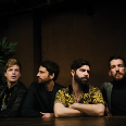 Foals